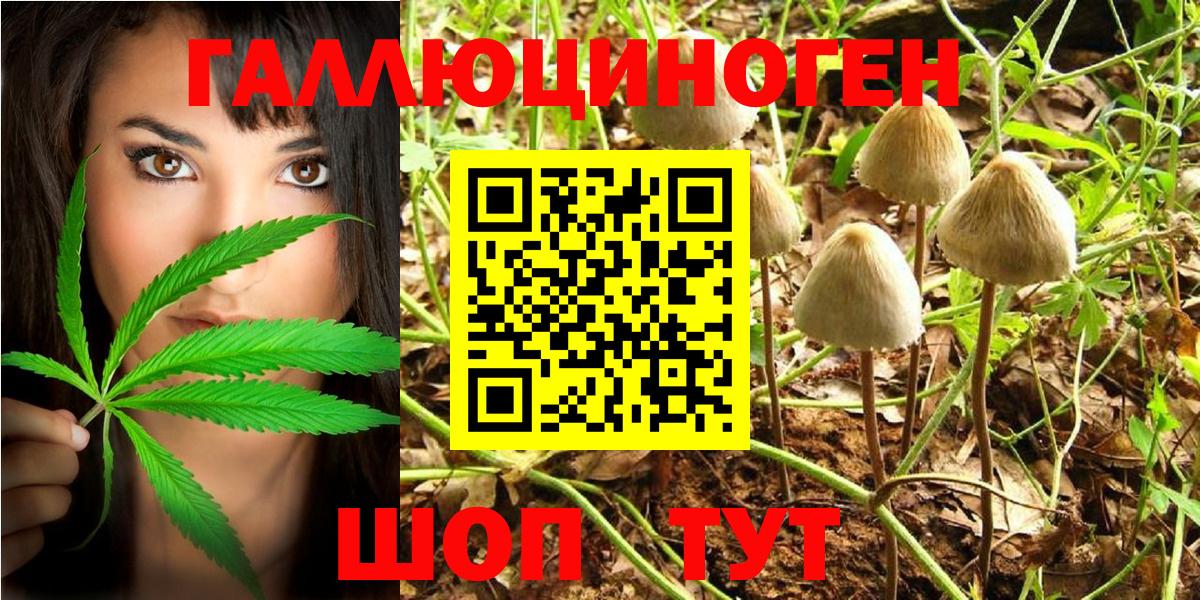 Псилоцибиновые грибы Magic Shrooms Курчатов