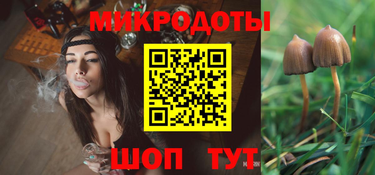 Курчатов  где можно купить наркотик  Галлюциногенные грибы мицелий  Вход с VPN  Галлюциногенные грибы GOLDEN TEACHER 